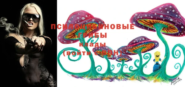 jwh Абаза