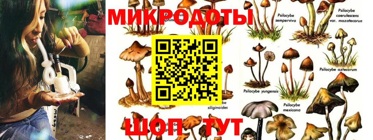 Псилоцибиновые грибы GOLDEN TEACHER  Вход с VPN  Стрежевой  Галлюциногенные грибы ЛСД 
